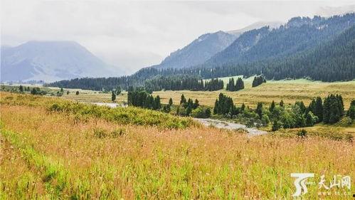 新疆景点爆料事件最新,揭秘神秘角落背后的真实故事