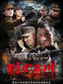 壮士出川全集在线观看,热血征程，英雄传奇